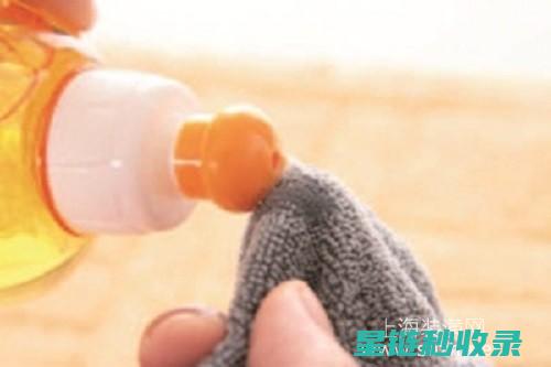 地毯快速清洁：污渍清除的简易步骤详解 (地毯快速清洁方法)