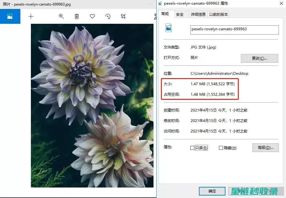 图片压缩 vs. 图片优化：区别与适用场景全解析 (图片压缩工具免费)